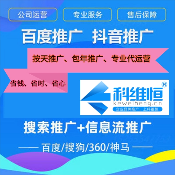 收录检索情况是什么意思_收录情况查询是什么意思_百度近期收录诊断